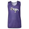 Youth Pro Mesh Reversible Tank Top Thumbnail