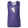 Youth Pro Mesh Reversible Tank Top Thumbnail