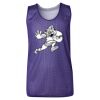 Youth Pro Mesh Reversible Tank Top Thumbnail