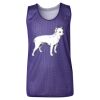 Youth Pro Mesh Reversible Tank Top Thumbnail