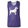 Youth Pro Mesh Reversible Tank Top Thumbnail