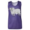 Youth Pro Mesh Reversible Tank Top Thumbnail