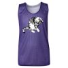 Youth Pro Mesh Reversible Tank Top Thumbnail