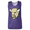 Youth Pro Mesh Reversible Tank Top Thumbnail