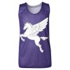 Youth Pro Mesh Reversible Tank Top Thumbnail