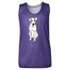 Youth Pro Mesh Reversible Tank Top Thumbnail
