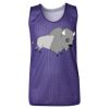 Youth Pro Mesh Reversible Tank Top Thumbnail