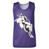Youth Pro Mesh Reversible Tank Top Thumbnail
