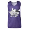 Youth Pro Mesh Reversible Tank Top Thumbnail