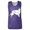 Youth Pro Mesh Reversible Tank Top Thumbnail