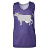 Youth Pro Mesh Reversible Tank Top Thumbnail