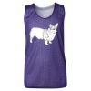 Youth Pro Mesh Reversible Tank Top Thumbnail
