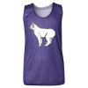 Youth Pro Mesh Reversible Tank Top Thumbnail