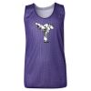 Youth Pro Mesh Reversible Tank Top Thumbnail