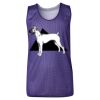 Youth Pro Mesh Reversible Tank Top Thumbnail