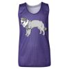 Youth Pro Mesh Reversible Tank Top Thumbnail