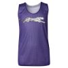 Youth Pro Mesh Reversible Tank Top Thumbnail