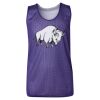 Youth Pro Mesh Reversible Tank Top Thumbnail