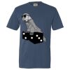 Unisex Garment-Dyed Lightweight T-Shirt Thumbnail