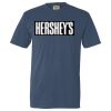 Unisex Garment-Dyed Lightweight T-Shirt Thumbnail