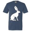 Unisex Garment-Dyed Lightweight T-Shirt Thumbnail