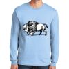 Ultra Cotton ® 100% US Cotton Long Sleeve T Shirt Thumbnail