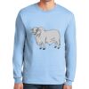 Ultra Cotton ® 100% US Cotton Long Sleeve T Shirt Thumbnail