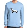 Ultra Cotton ® 100% US Cotton Long Sleeve T Shirt Thumbnail