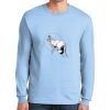 Ultra Cotton ® 100% US Cotton Long Sleeve T Shirt Thumbnail