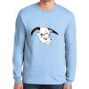 Ultra Cotton ® 100% US Cotton Long Sleeve T Shirt Thumbnail