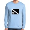 Ultra Cotton ® 100% US Cotton Long Sleeve T Shirt Thumbnail