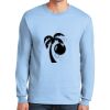 Ultra Cotton ® 100% US Cotton Long Sleeve T Shirt Thumbnail