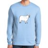 Ultra Cotton ® 100% US Cotton Long Sleeve T Shirt Thumbnail