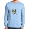 Ultra Cotton ® 100% US Cotton Long Sleeve T Shirt Thumbnail