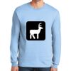 Ultra Cotton ® 100% US Cotton Long Sleeve T Shirt Thumbnail