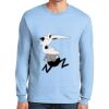 Ultra Cotton ® 100% US Cotton Long Sleeve T Shirt Thumbnail
