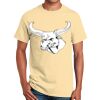 Ultra Cotton™ 100% Cotton T Shirt Thumbnail