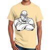 Ultra Cotton™ 100% Cotton T Shirt Thumbnail
