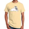 Ultra Cotton™ 100% Cotton T Shirt Thumbnail
