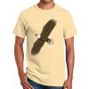Ultra Cotton™ 100% Cotton T Shirt Thumbnail