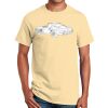 Ultra Cotton™ 100% Cotton T Shirt Thumbnail