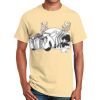 Ultra Cotton™ 100% Cotton T Shirt Thumbnail