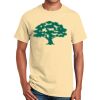 Ultra Cotton™ 100% Cotton T Shirt Thumbnail