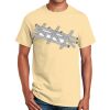 Ultra Cotton™ 100% Cotton T Shirt Thumbnail