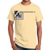 Ultra Cotton™ 100% Cotton T Shirt Thumbnail