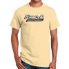 Ultra Cotton™ 100% Cotton T Shirt Thumbnail