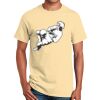 Ultra Cotton™ 100% Cotton T Shirt Thumbnail