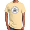 Ultra Cotton™ 100% Cotton T Shirt Thumbnail