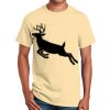 Ultra Cotton™ 100% Cotton T Shirt Thumbnail