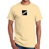 Ultra Cotton™ 100% Cotton T Shirt Thumbnail